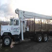 George's Tree service owns several cranes and can do work on very tall trees that should only be done by a professional.