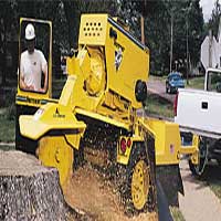 George's Tree service can grind those tough stumps to remove them for you with ease.
